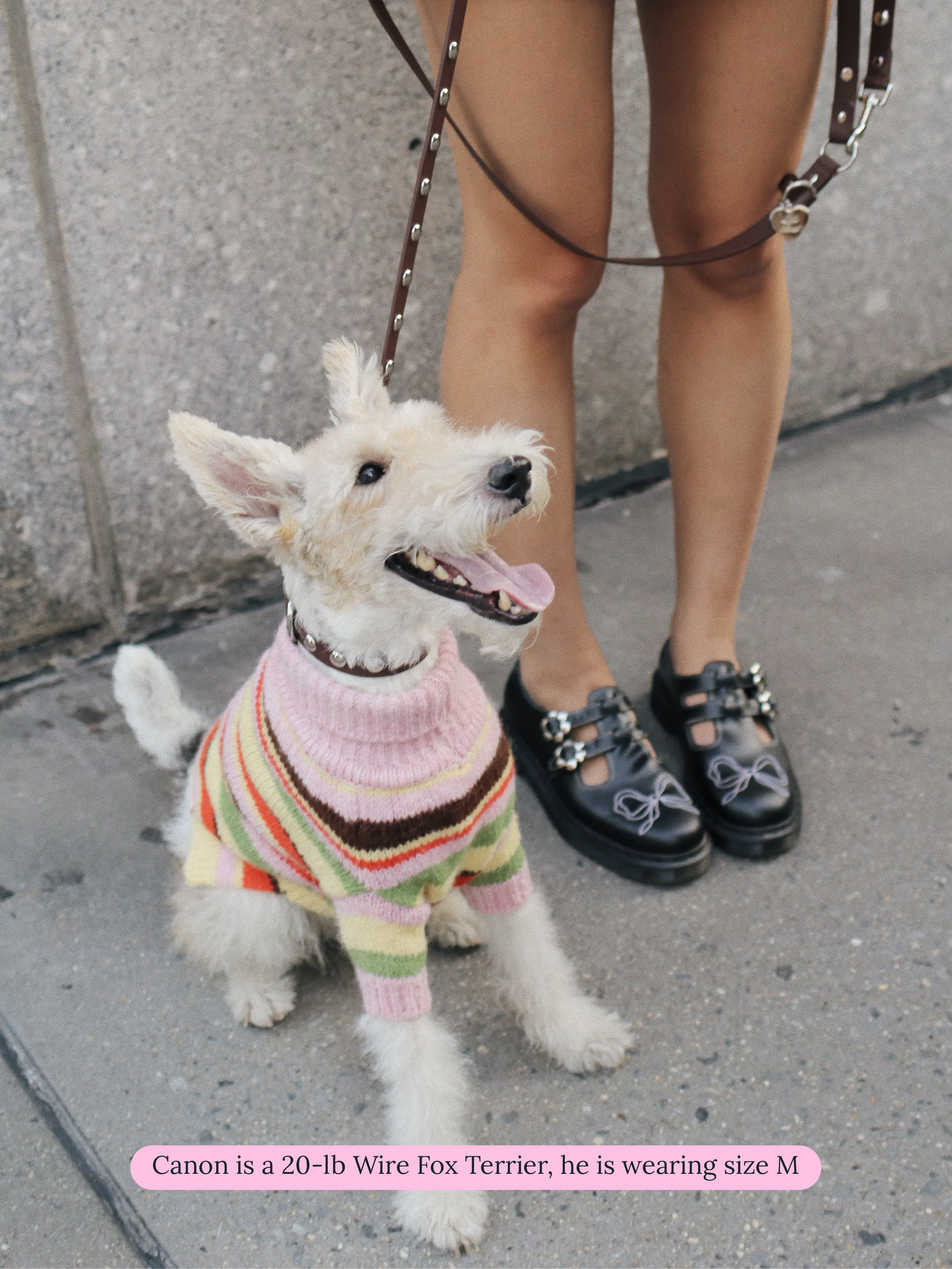 Alaia Polo Sweater x Lisa Says Gah